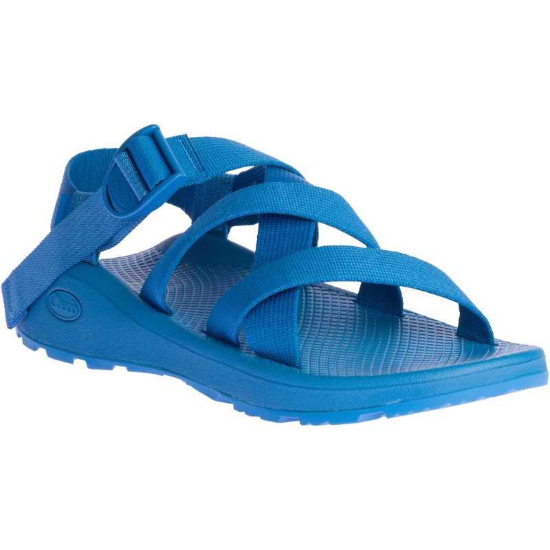 Chaco Banded Z/Cloud Sandali Uomo Blu | GMRCKLW-29