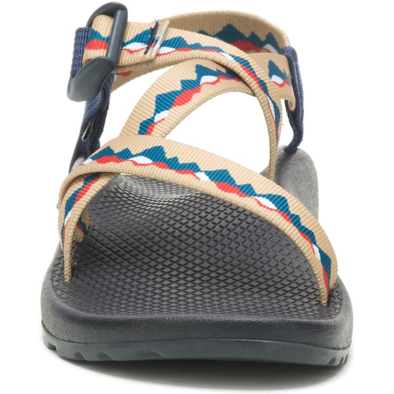 Chaco X New Belgium Z/1 Classiche Sandali Donna Blu Marroni | AOPVRBD-63