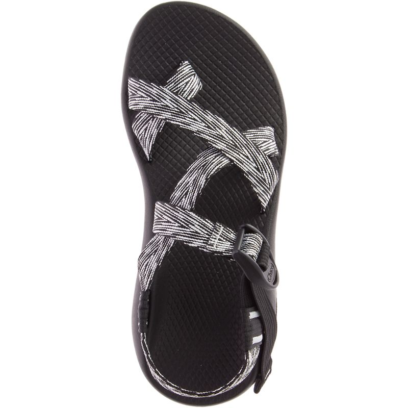 Chaco Z/2® Classiche Sandali Donna Grigie | YLFPNXZ-62