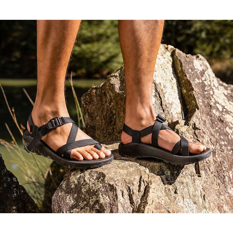 Chaco Z/2® Classiche Sandali Uomo Nere | AJKWDYE-93