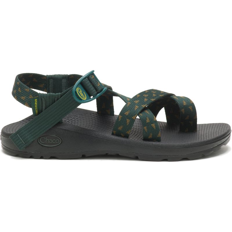 Chaco Z/Cloud 2 Sandali Donna Verdi | MVGDQNU-41