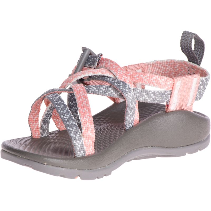 Chaco Zx/1 Ecotread™ Sandali Bambino Rosa Grigie | RVSDOYT-60